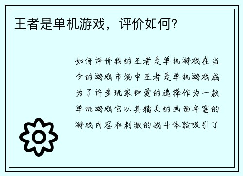 王者是单机游戏，评价如何？
