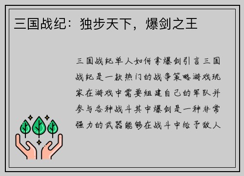 三国战纪：独步天下，爆剑之王