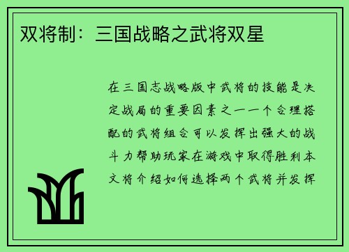 双将制：三国战略之武将双星