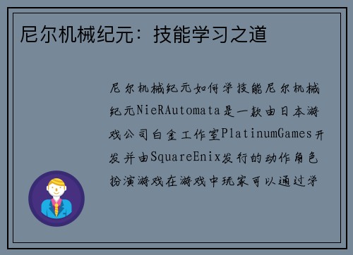 尼尔机械纪元：技能学习之道